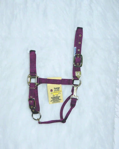Hamilton Halter Adjustable Chin/Snap Yearling Blue