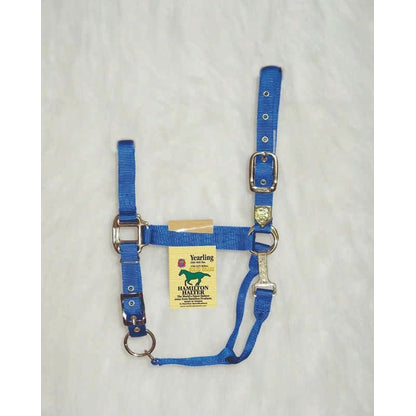 Hamilton Halter Adjustable Chin/Snap Yearling Blue
