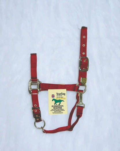 Hamilton Halter Adjustable Chin/Snap Yearling Blue
