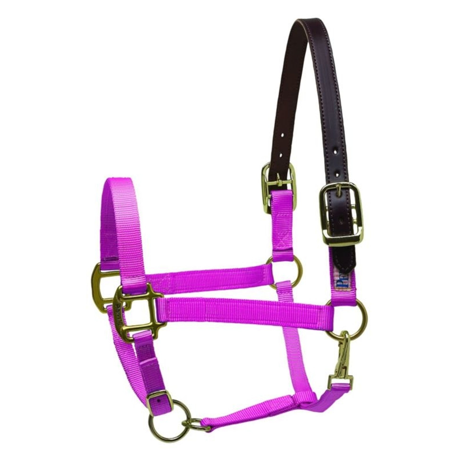 Perris Nylon Safety Halter