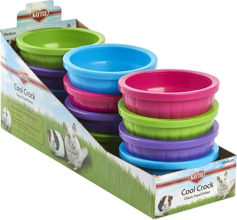 Super Pet Crock Critter 2 12 Pack Assorted
