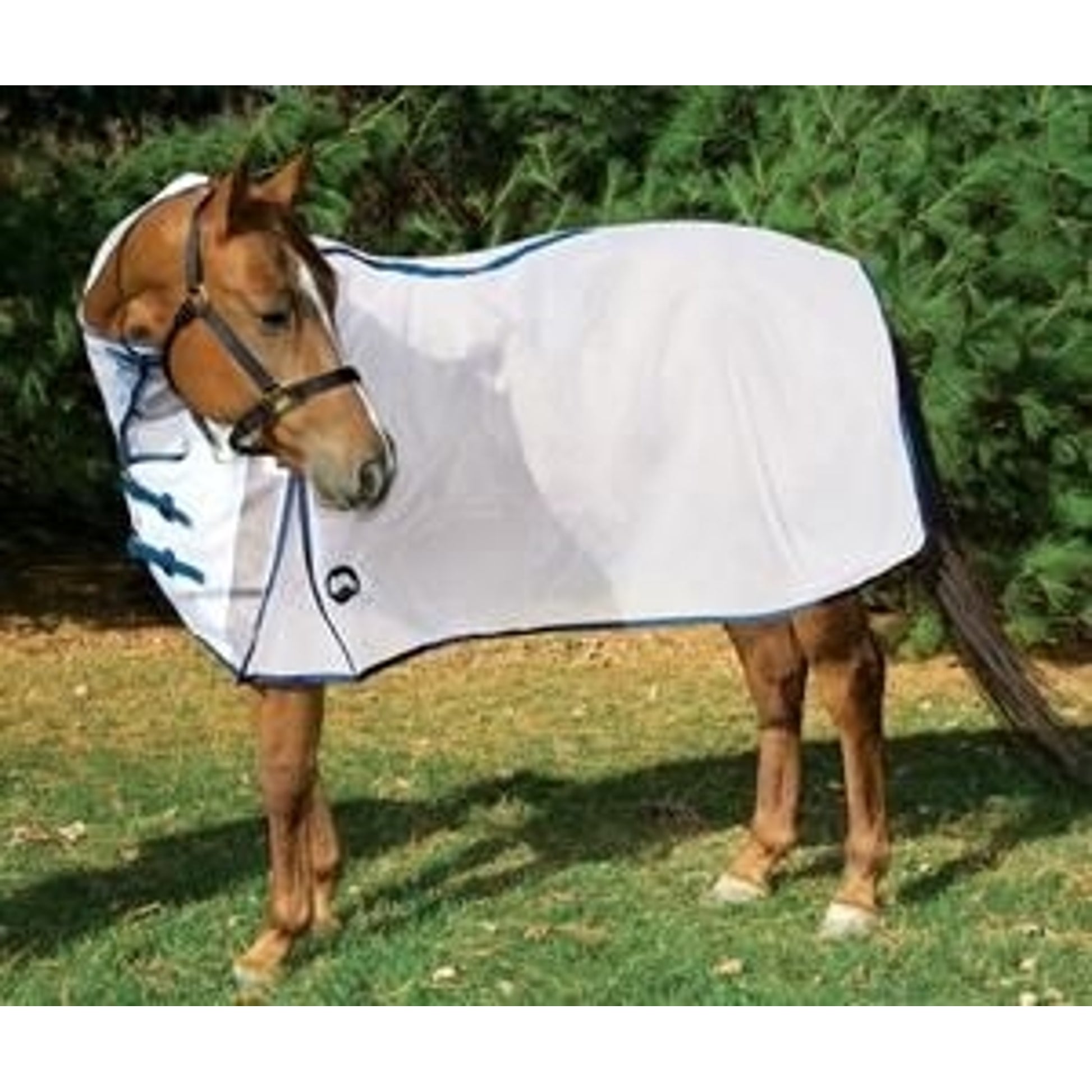 Weaver Micro-Mesh Fly Sheet