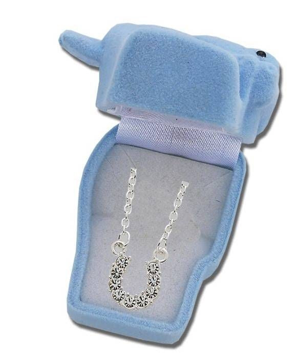 Horseshoe Necklace with Crystals