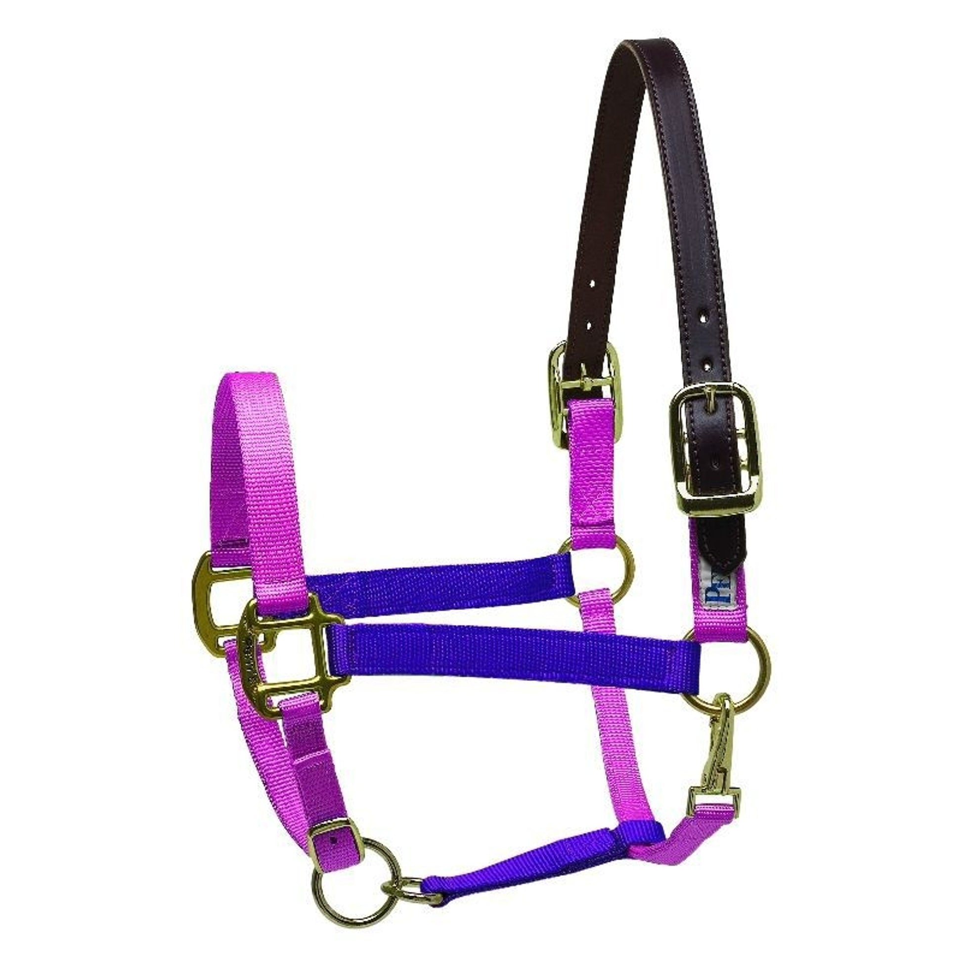 Perri's Color Vision Halter