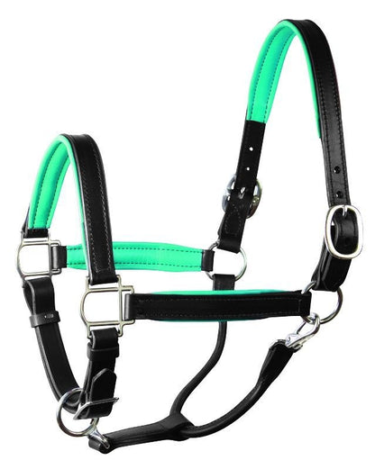 Perri's Soft Padded Leather Halter