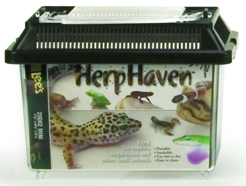 Fish Supplies