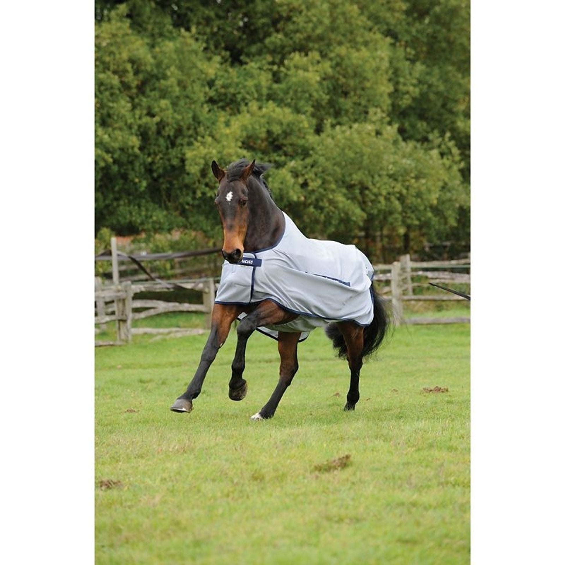 Bucas Buzz Off Classic Fly Sheet 66 Silver/Navy