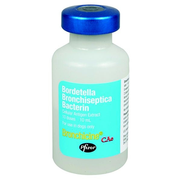 Bronchicine CAe 10ml Vial Canine Vaccine