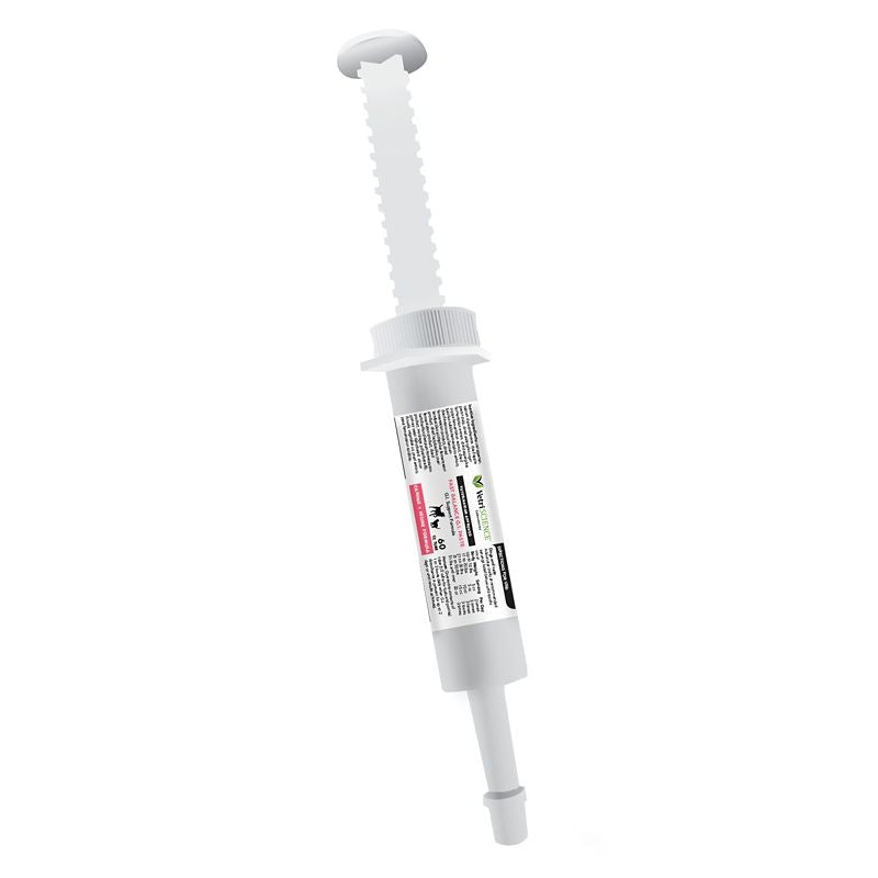 VetriScience Fast Balance G.I. Paste - 35 cc