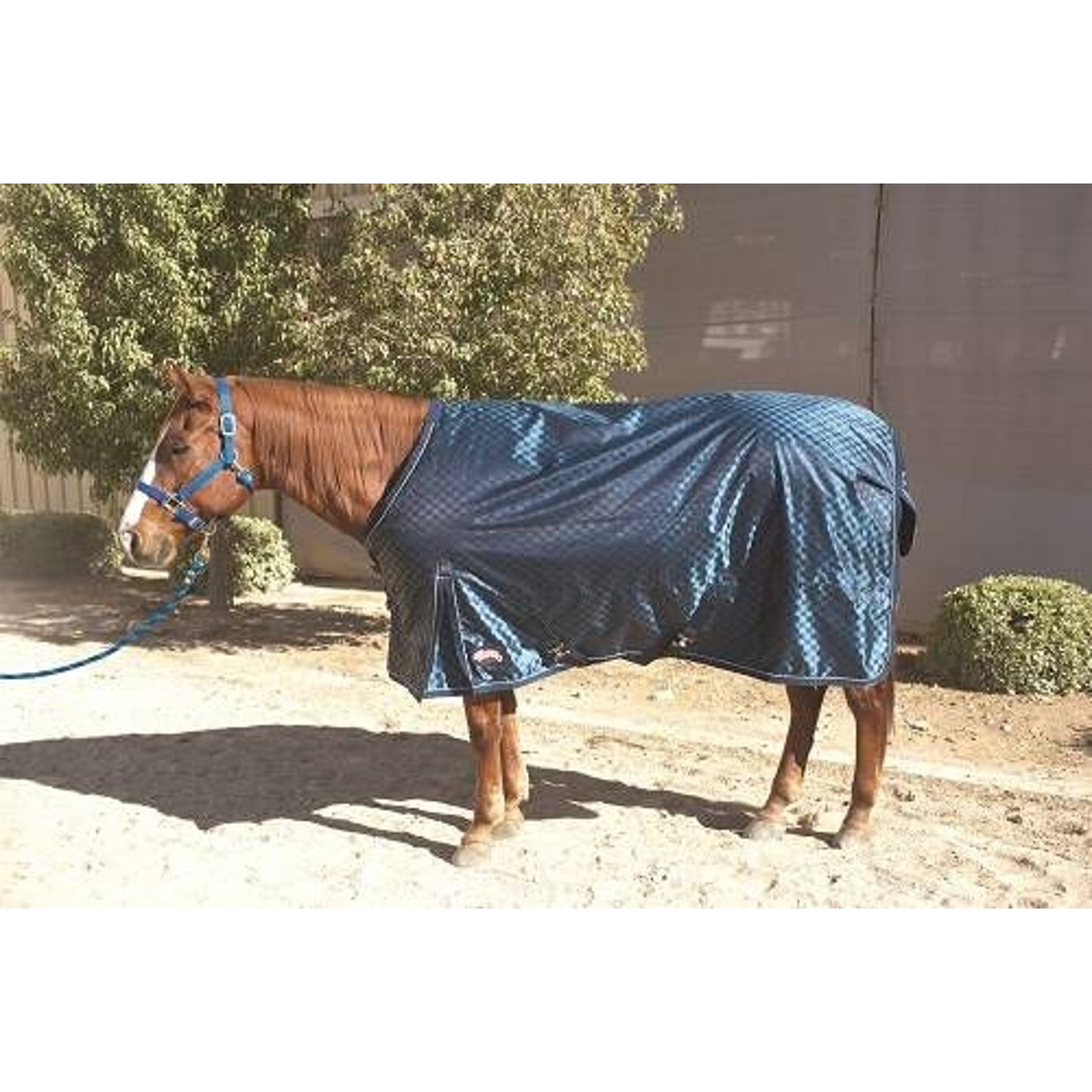 Weaver Deluxe Blanket - 840 D Blue Check 68"