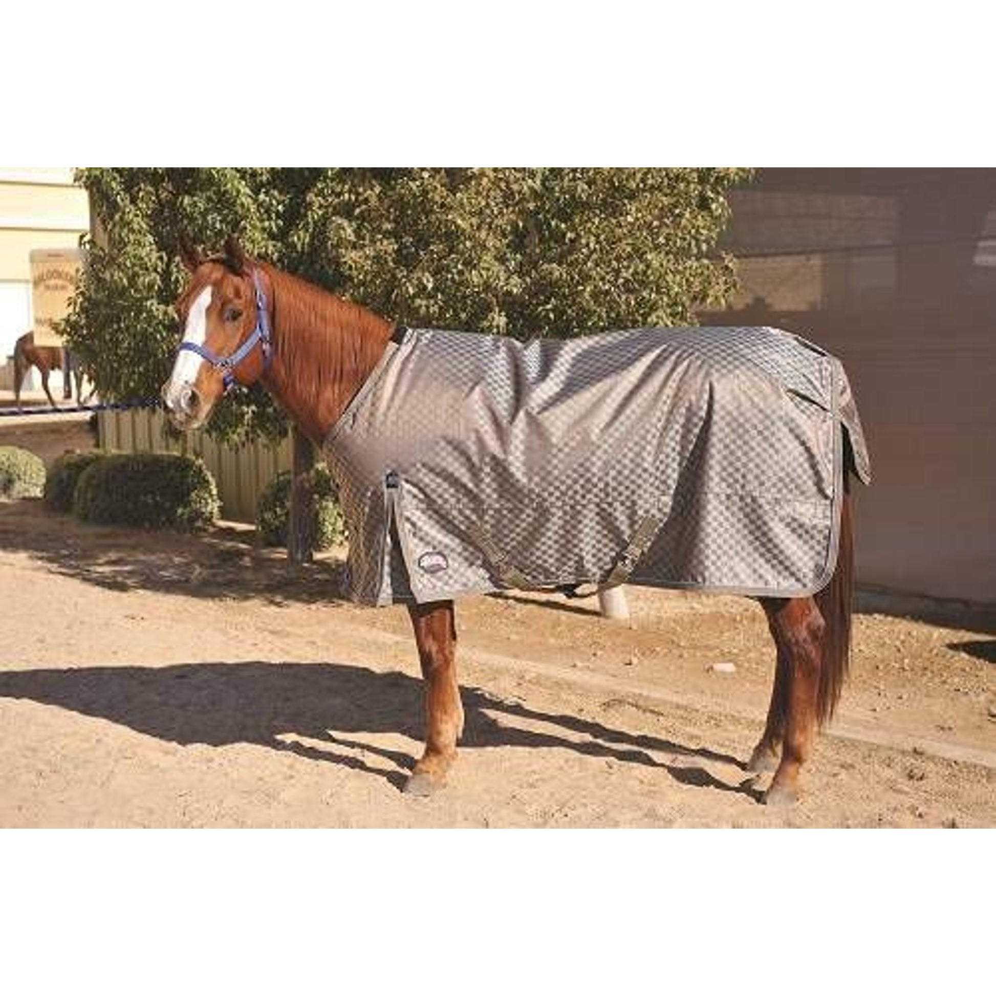 Weaver Deluxe Blanket - 840 D Blue Check 68"