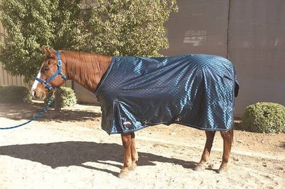 Weaver Deluxe Blanket - 840 D Blue Check 68"