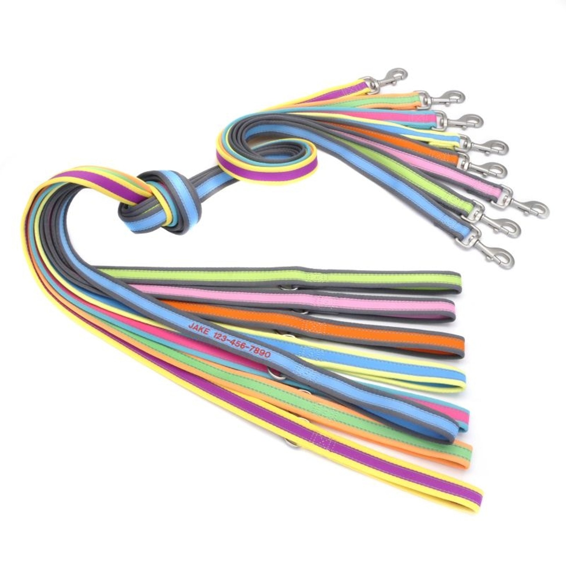 Personalized PetAttire Pro Dog Leash