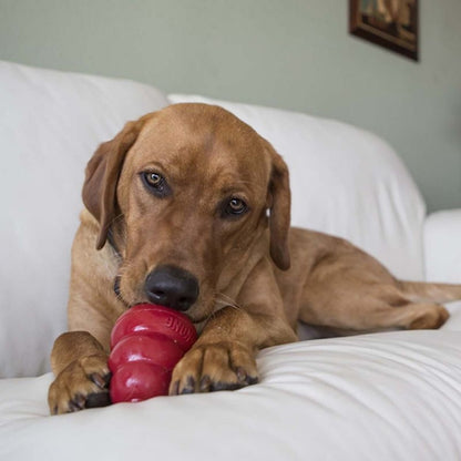 KONG Stuff N Snacks Bacon/Cheese Dog Treat