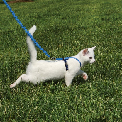 Kitty Harness/Leash Medium Lilac