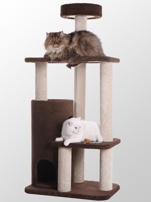 Armarkat Premium Real Wood Cat Tree 56in Chocolate