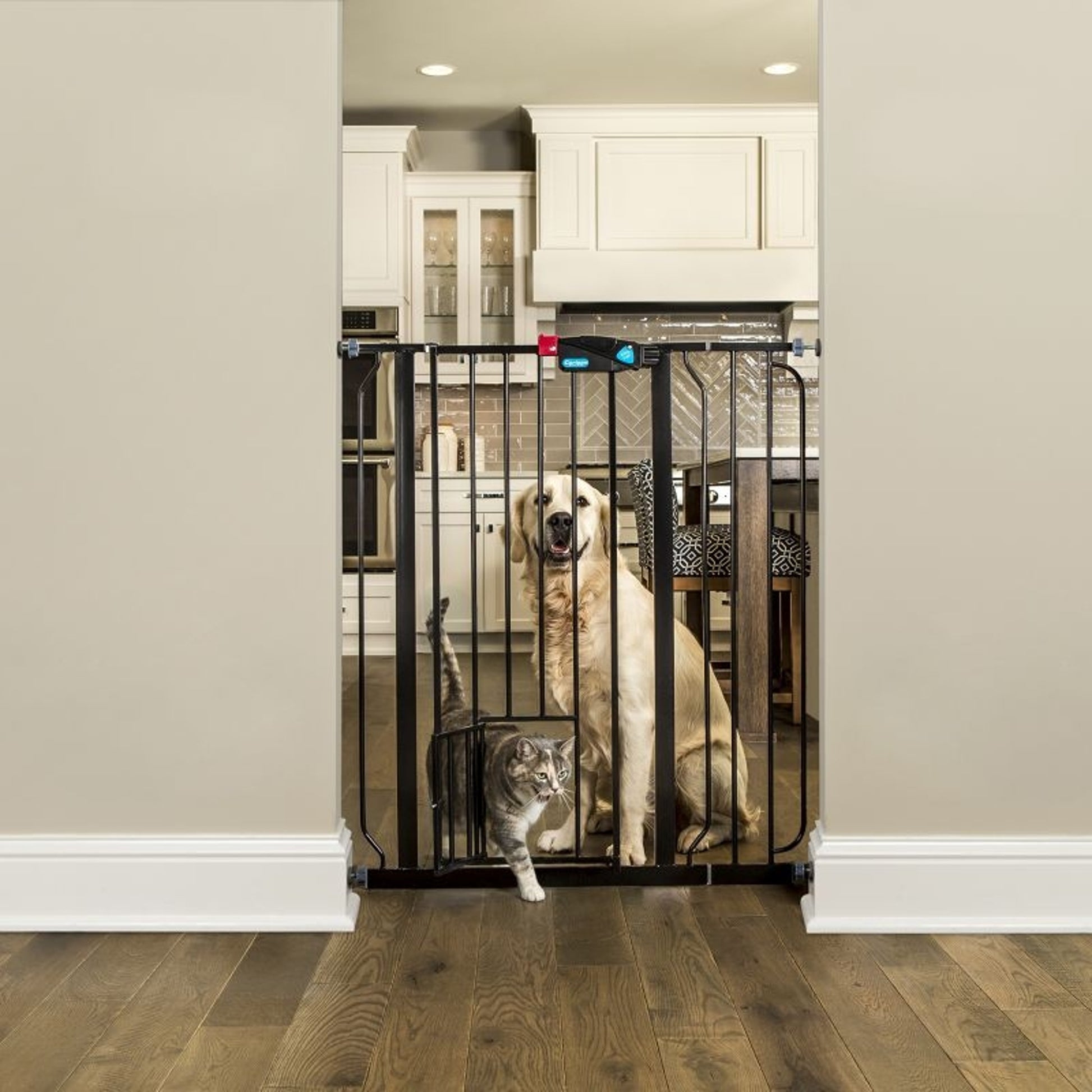 Carlson Pet Black Extra Tall Gate with Pet Door