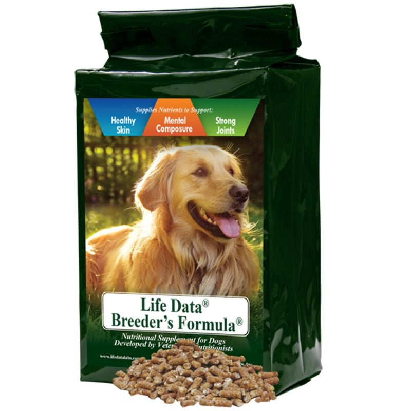 Dog Health and Wellness