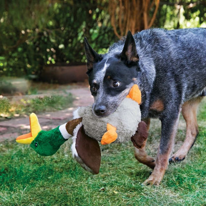 KONG Shakers Honkers Duck Dog Toy