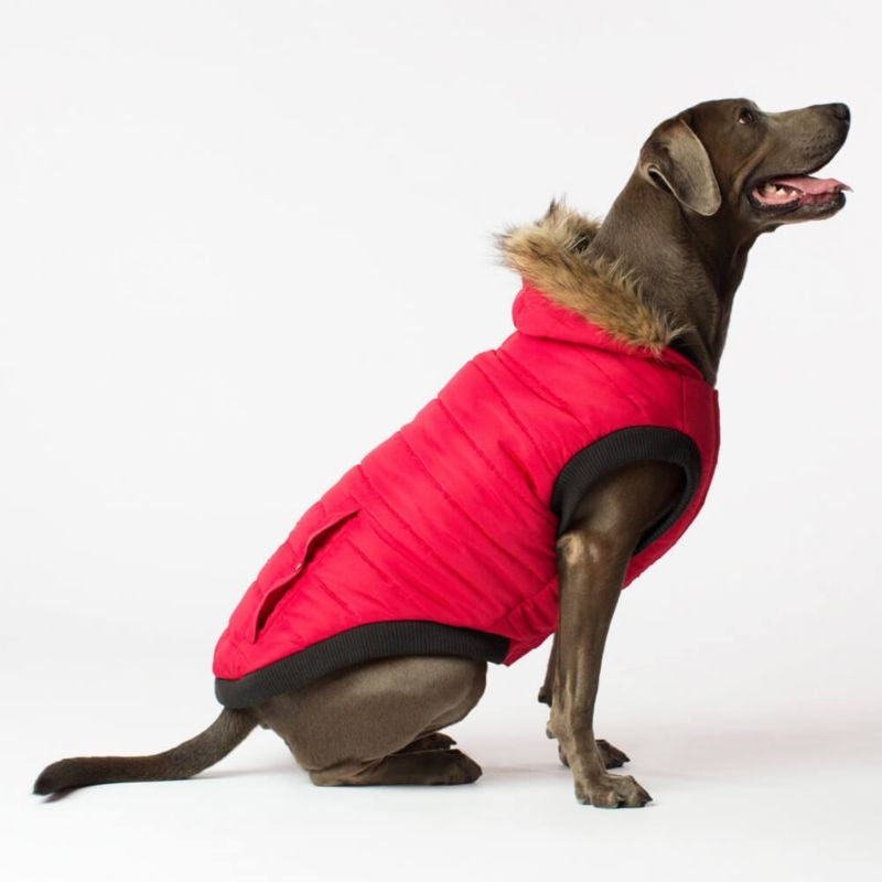 Canada Pooch North Pole Dog Parka