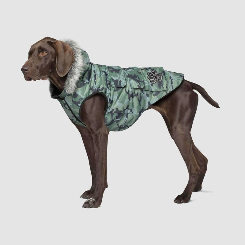 Canada Pooch Everest Explorer Dog Vest