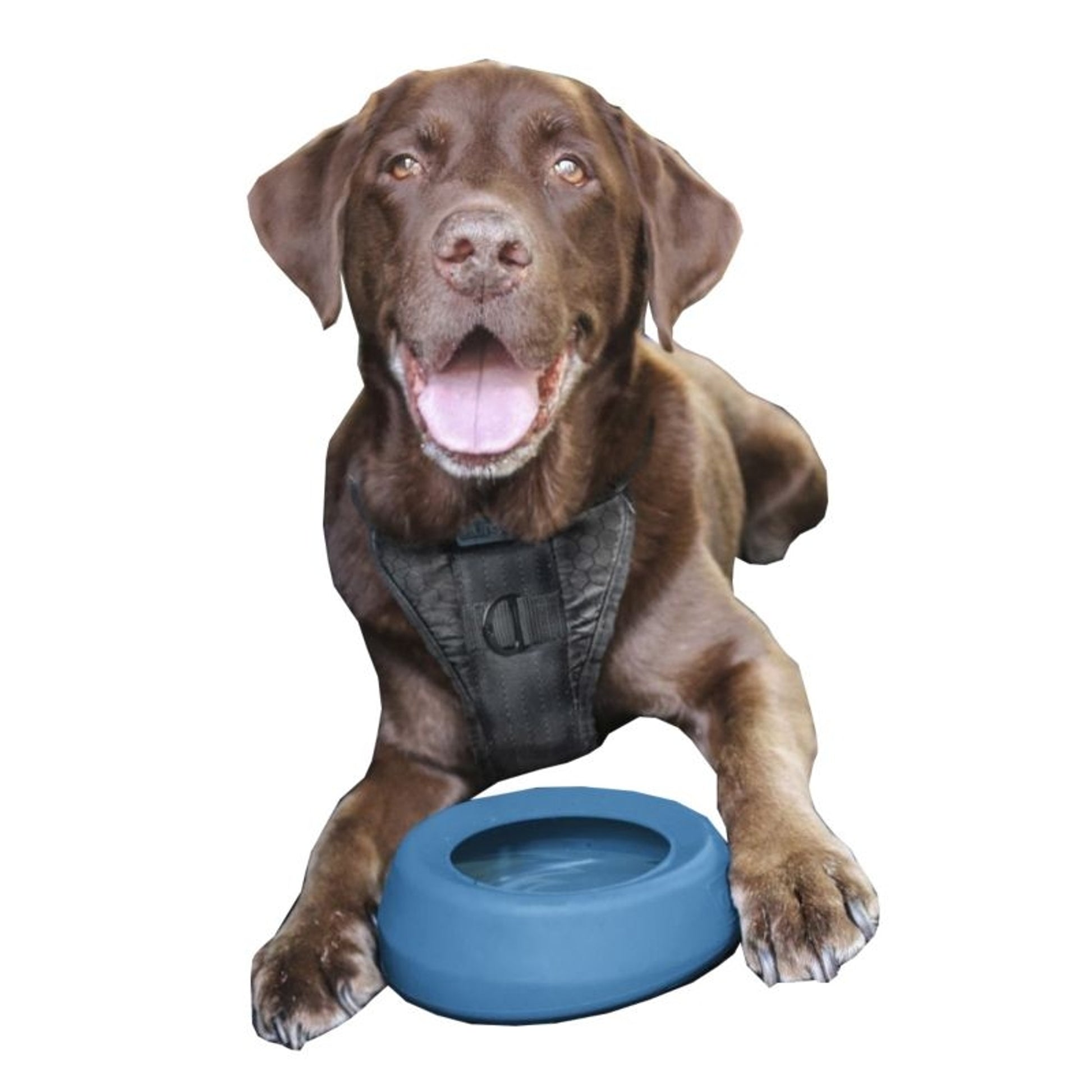 Kurgo Splash Free Wander Water Bowl