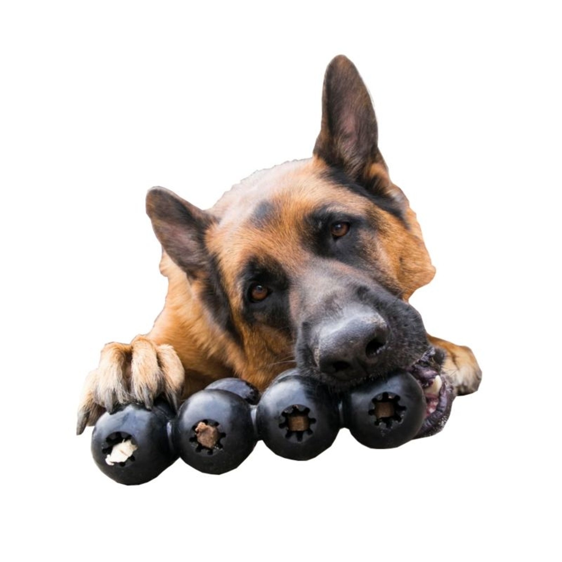 KONG Extreme Goodie Ribbon Dog Toy