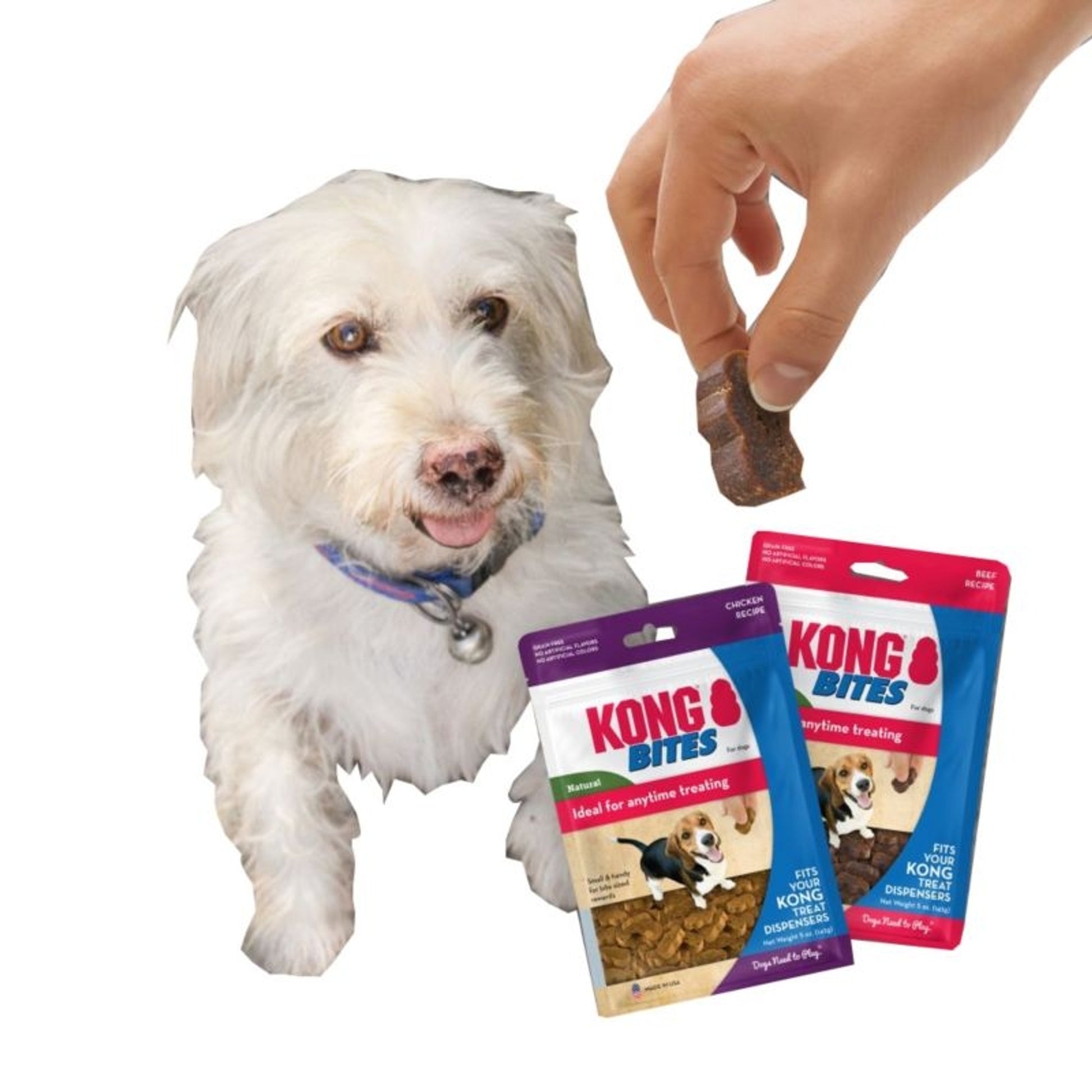 KONG Bites Dog Treat 5oz