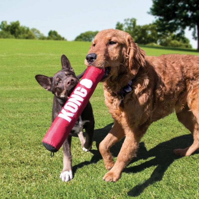 KONG Signature Stick Dog Toy– 1800PetSupplies.com