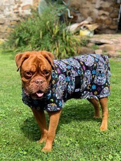 Snugpups Black Sugar Skulls Fleece Dog Coat