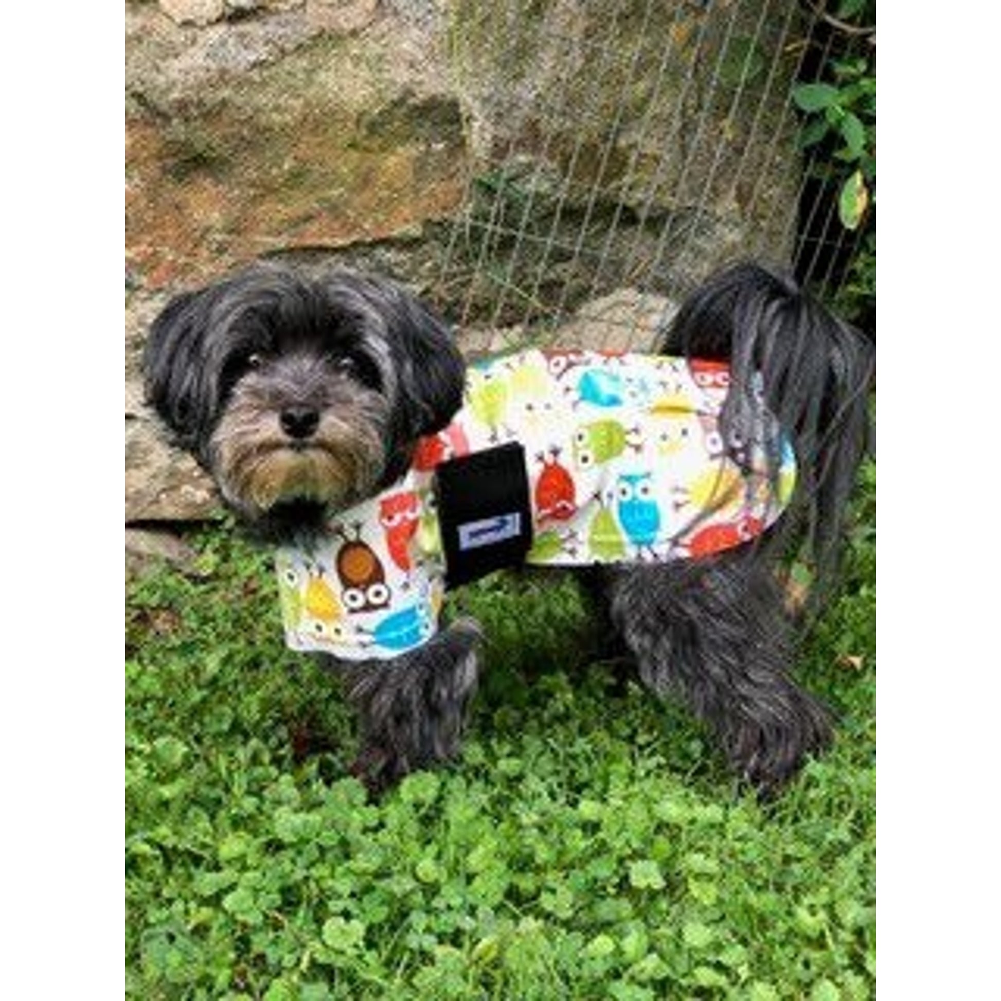 Snugpups Owls Dog Raincoat