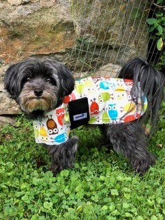Snugpups Owls Dog Raincoat