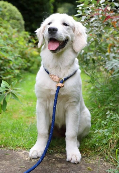 Shires Digby Reflective Slip Dog Lead