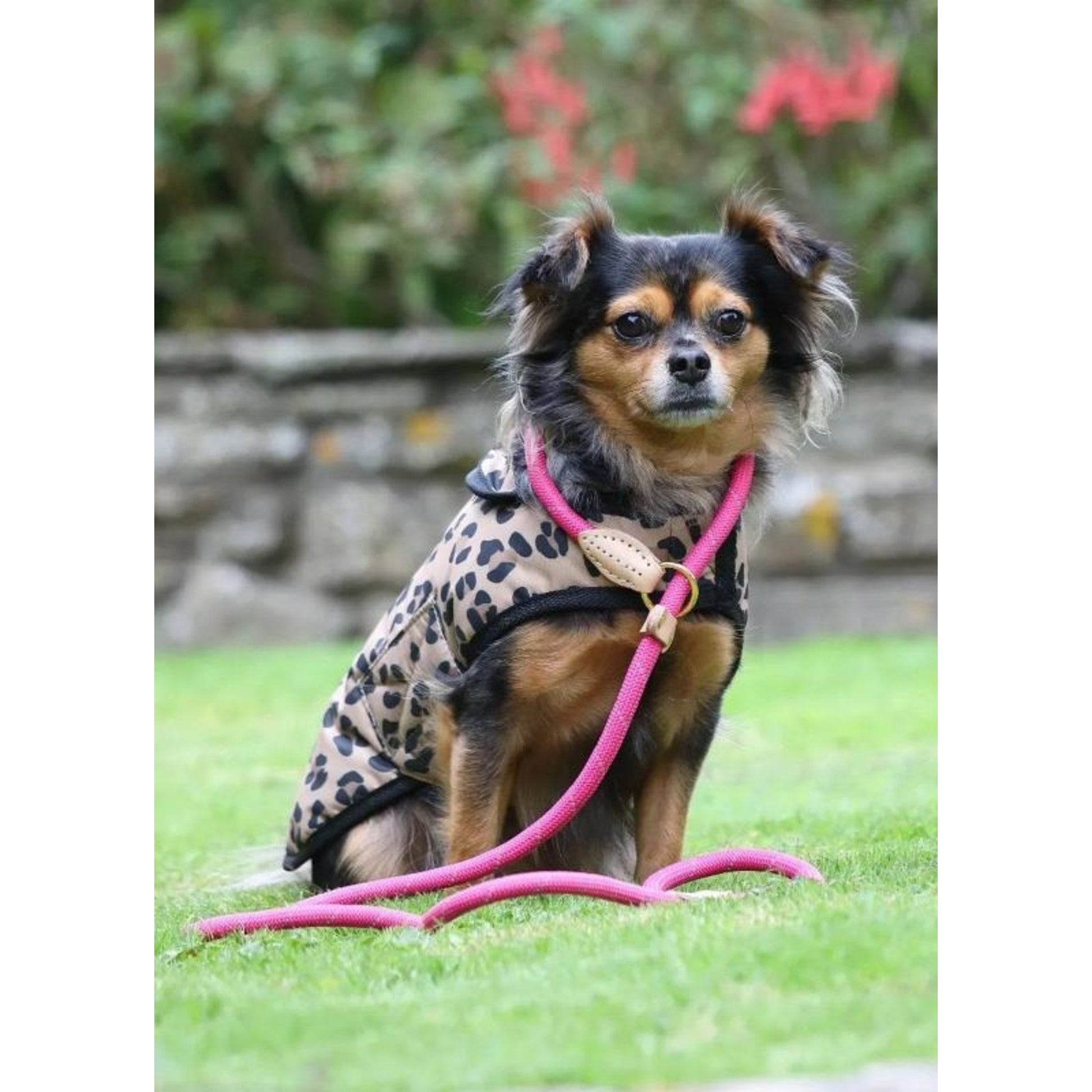 Shires Digby Reflective Slip Dog Lead