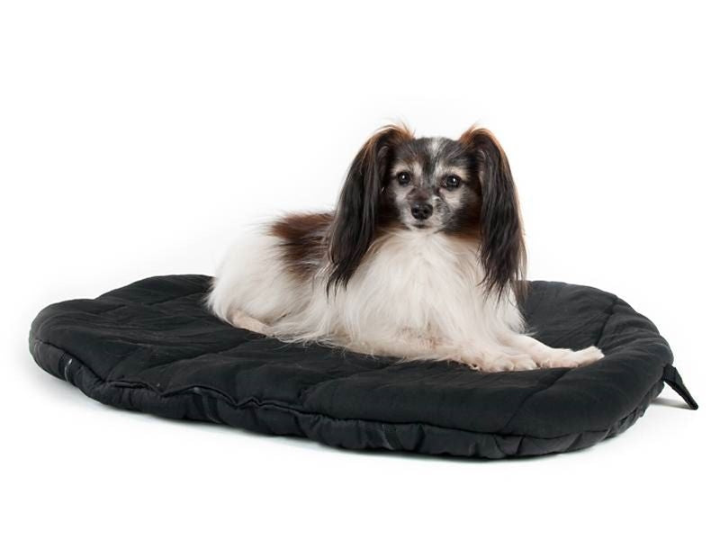 Orthopedic Beds