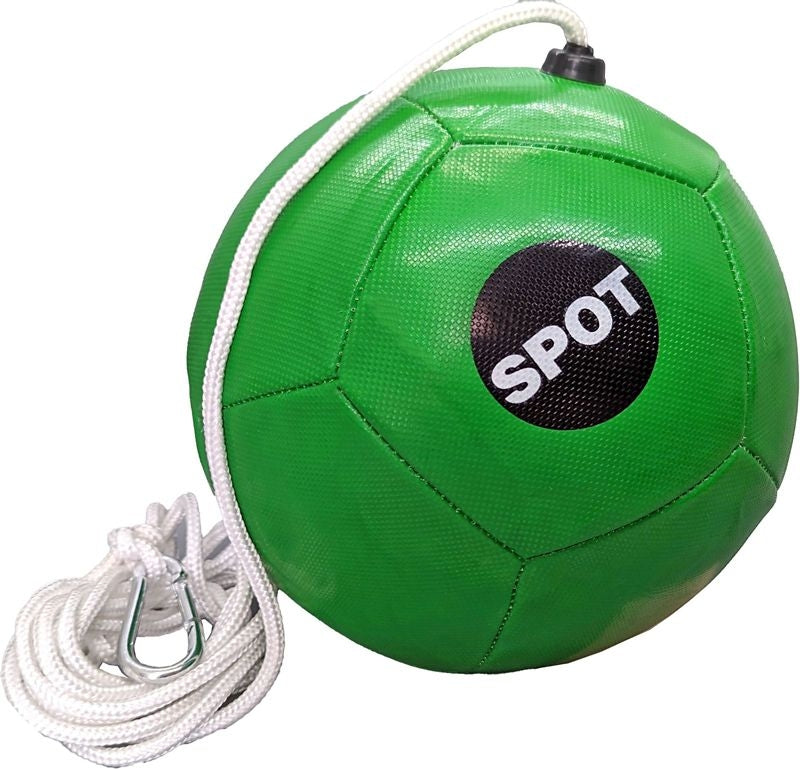 Spot Tether Ball Dog Toy With Rope