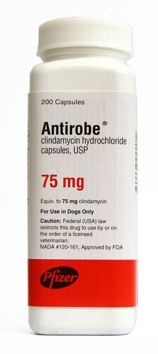 Antirobe Capsules
