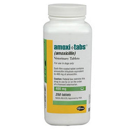 Amoxicillin