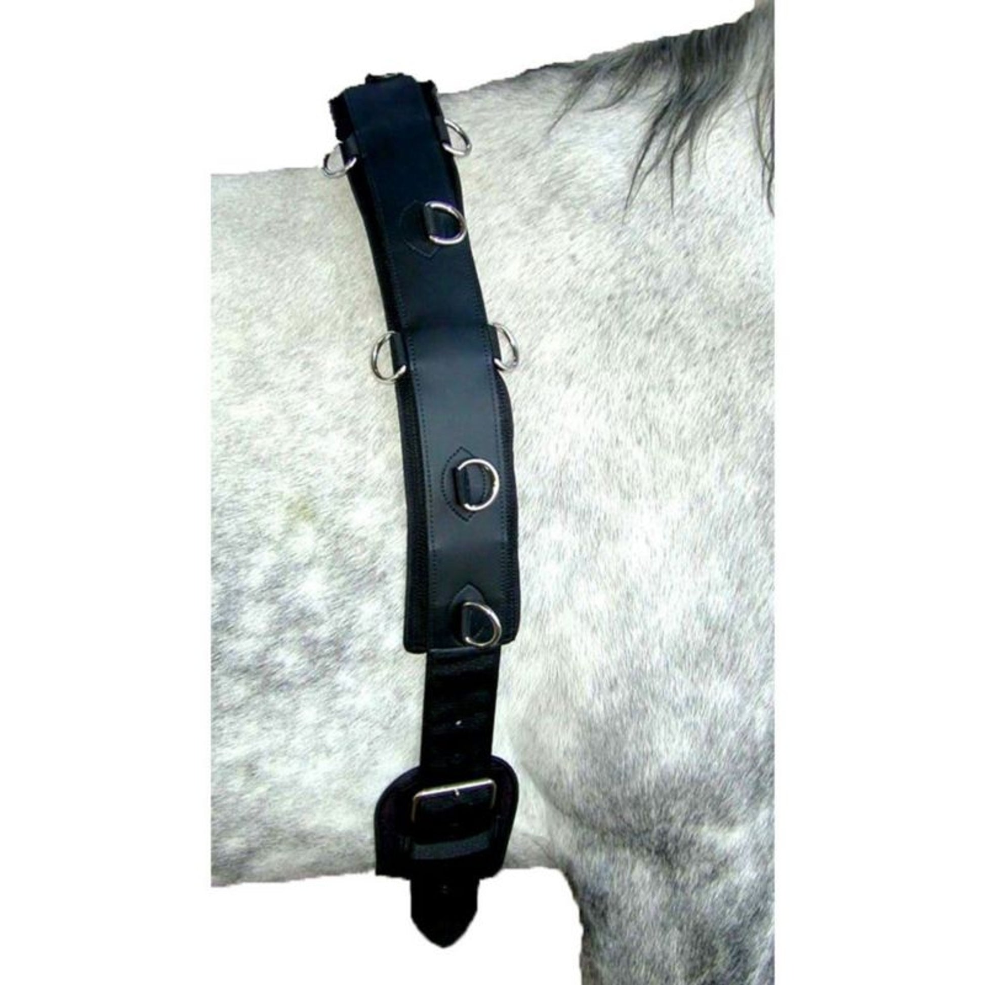 Professional Neoprene Surcingle for Ground Driving