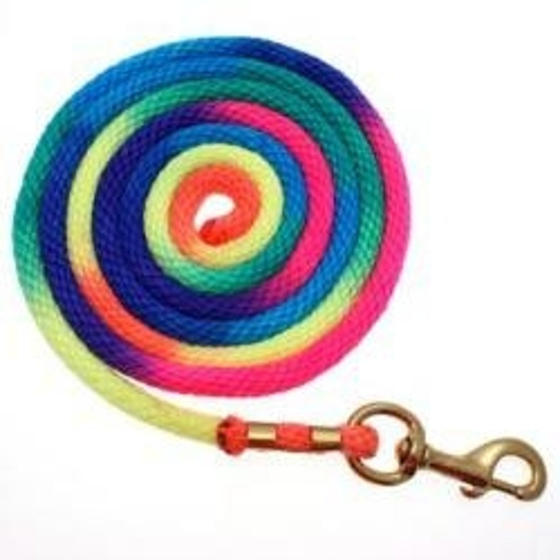 Open Rope Lead Basic Rainbow Poly Lead Rope with Bolt Snap– 1800PetSupplies.com