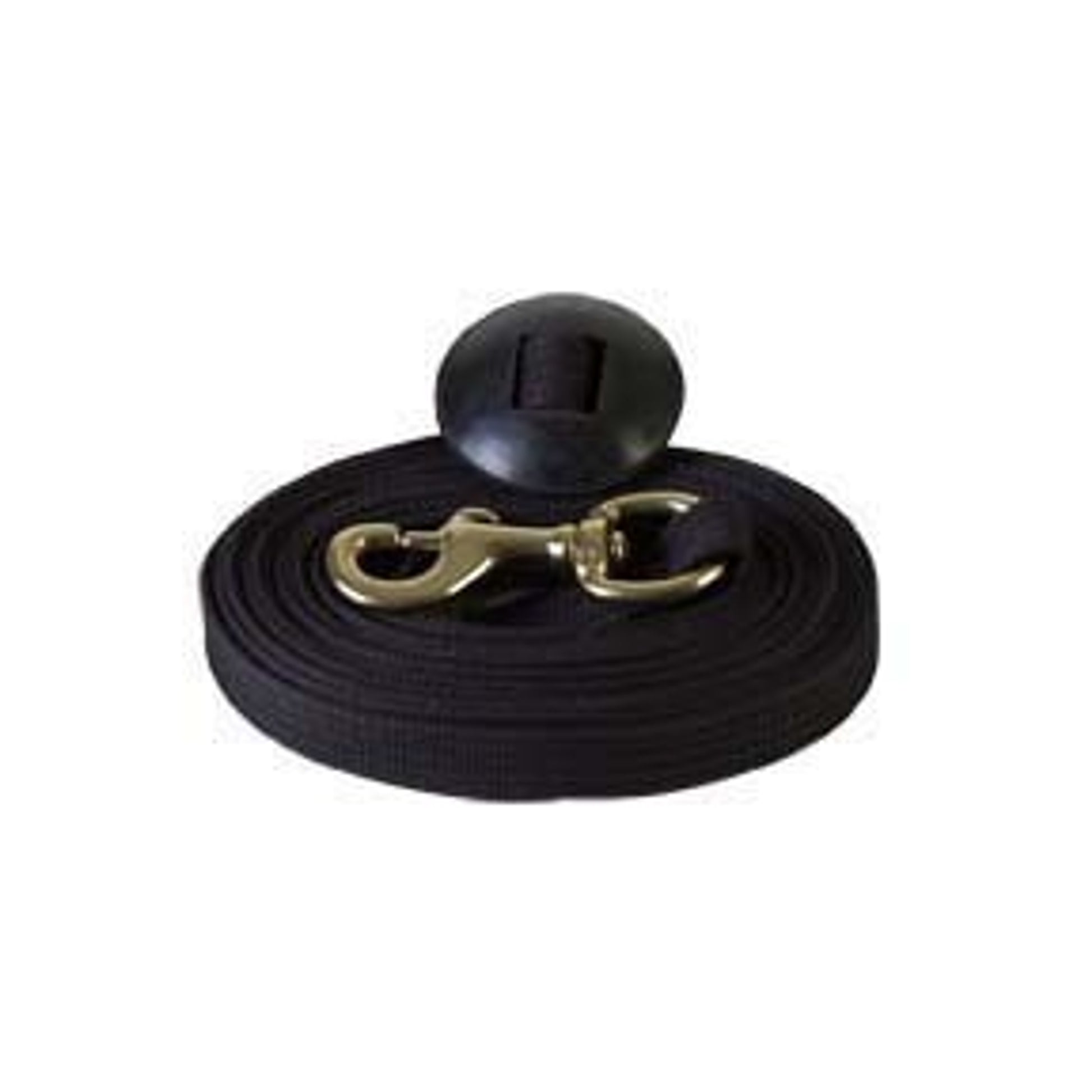 Basic Flat Cotton Web Lunge Line
