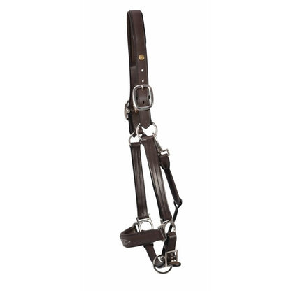 Henri de Rivel Pro Fancy Padded Rolled Throat Trip