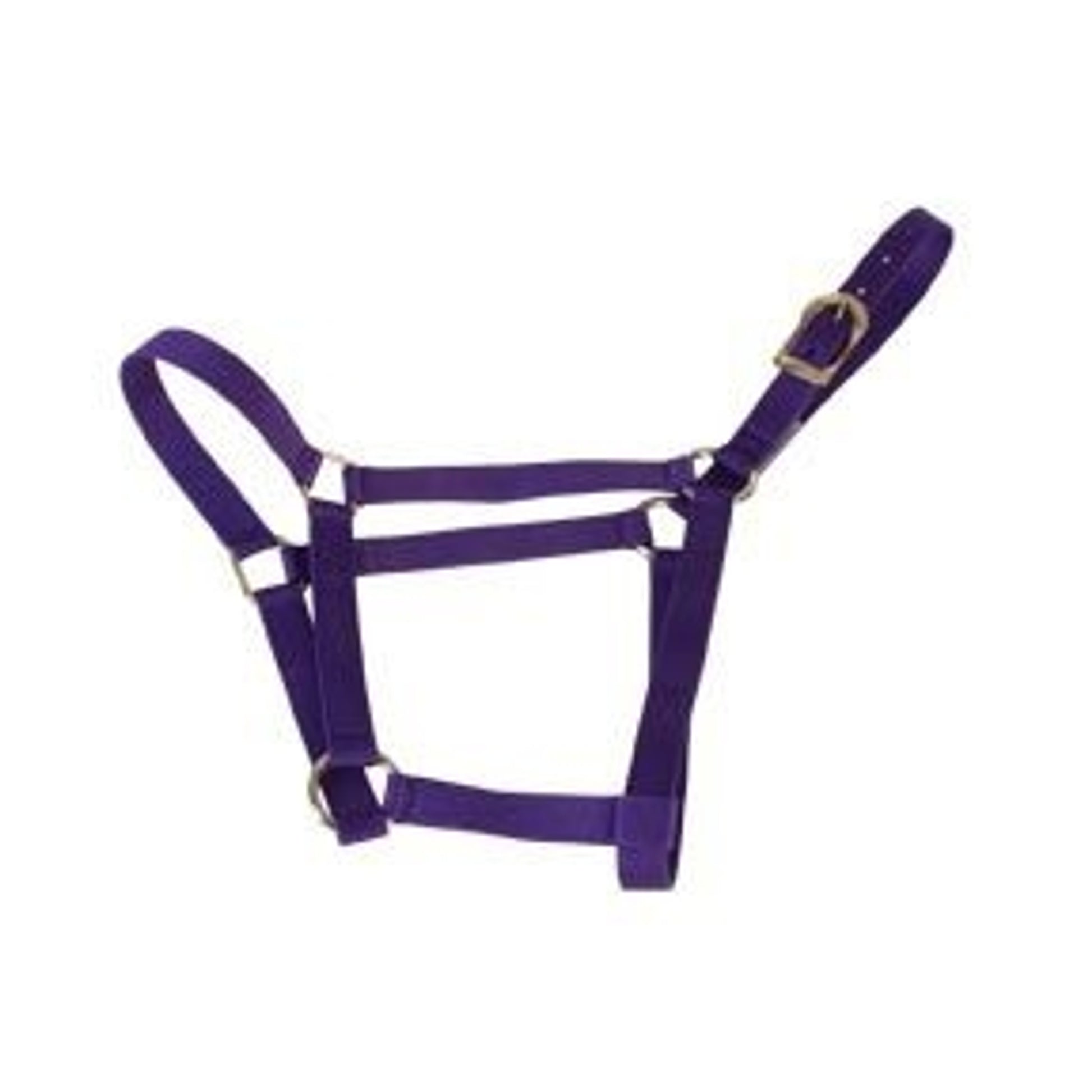 Basic 2-Ply Halter