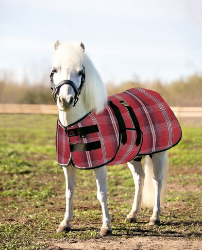 Kensington Protective Sheet Mini
