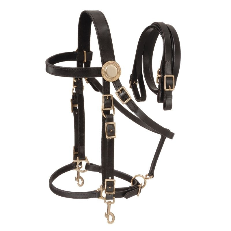 Australian Outrider Deluxe Halter Bridle with Reins