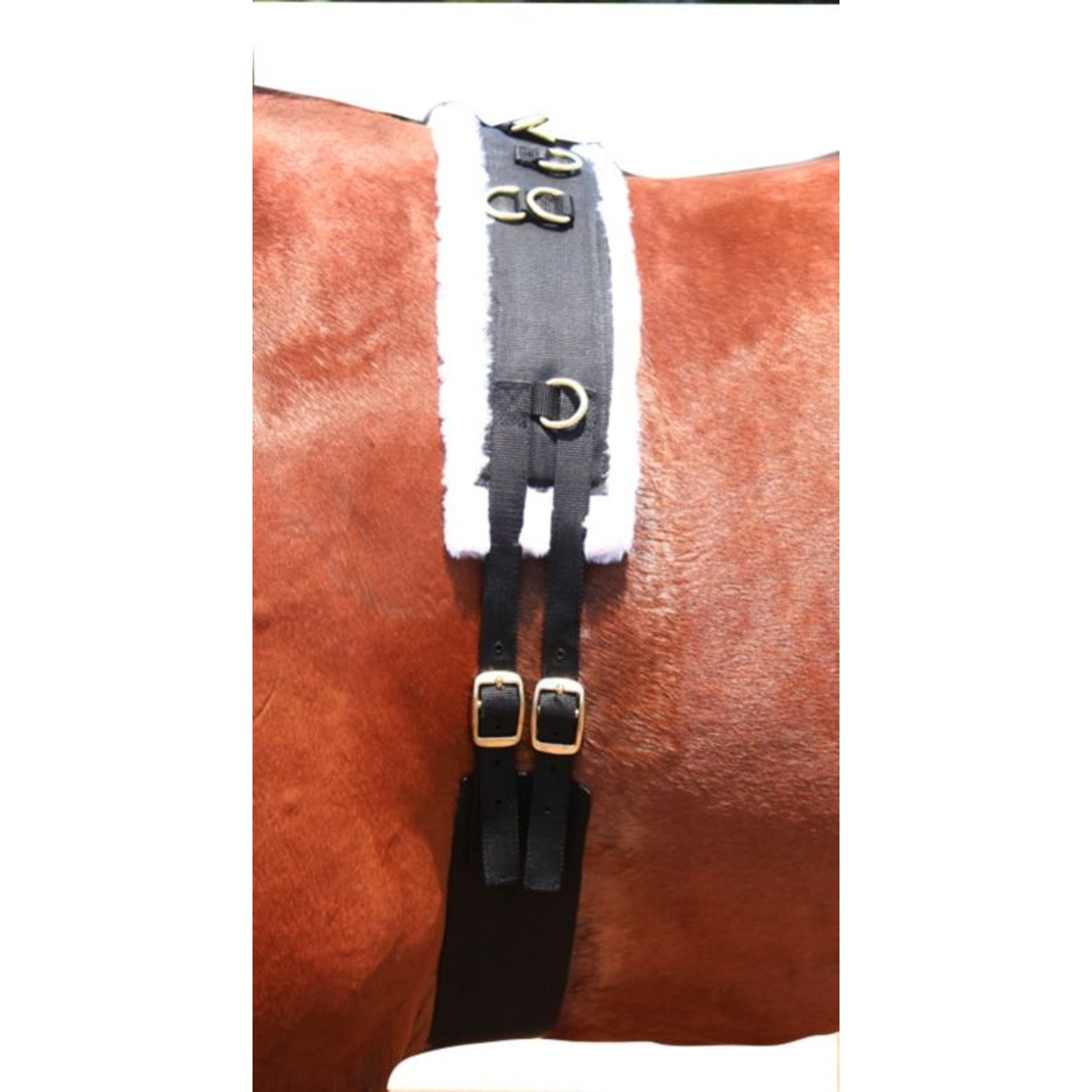 Basic Nylon Fleece 8-Ring Training Surcingle