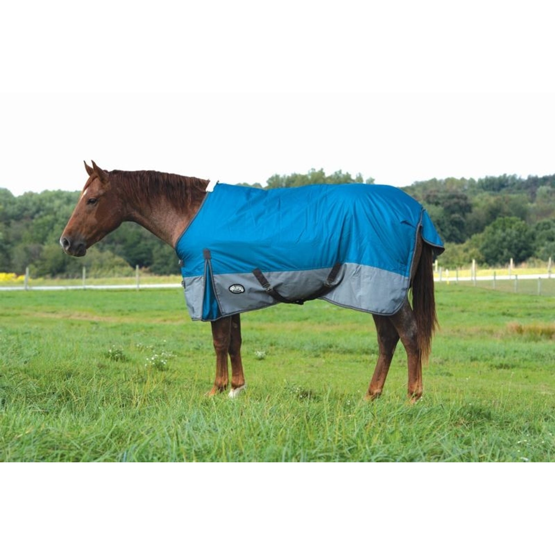 Weaver Premium 600 D Turnout 200 Gm