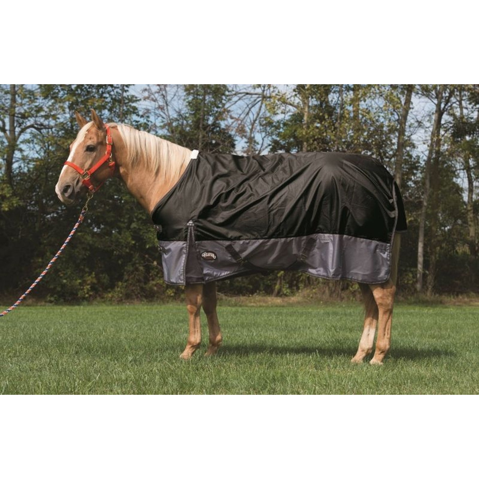 Weaver Premium 600 D Turnout 200 Gm