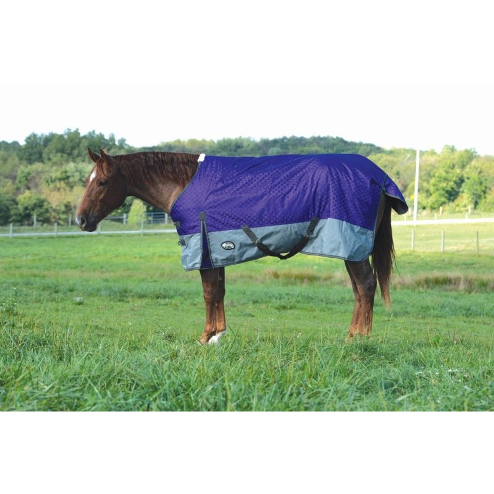 Weaver Premium 1200 D Turnout 300 Gm