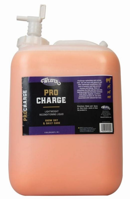 Weaver Procharge Recondition Liquid